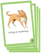 distinguish between living and nonliving things with flash cards