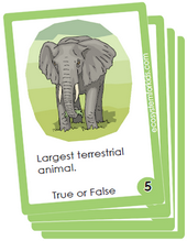 Flash cards on facts about elephants for kids.