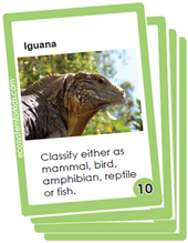 flash cards on classification as bird, mammal, reptile, bird or fish pdf download