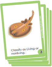 classification of organisms as living and nonliving things science flash cards.