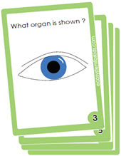 flash cards on the five senses.