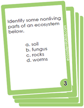 ecosystems flash cards. 