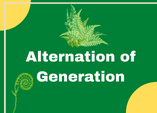 alternation of generation