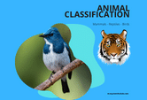 animal classification game