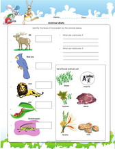 1st grade science worksheets For Kids PDF