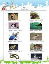 classify under mammals, bird, fish, reptile, amphibian 2nd grade worksheet for kids science