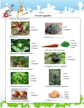 worksheet on fruits and vegetables for kids science