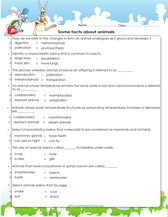 animals facts worksheet for 4th grade pdf
