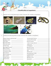 classification worksheet for 4th grade, mammals, bird, fish, reptile, amphibians.