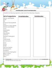 4th grade worksheet on vertebrates and invertebrates