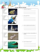 classification of animals worksheet pdf for kids