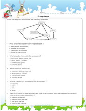 ecosystems and feeding relationships worksheet for 4th grade science practice, pdf