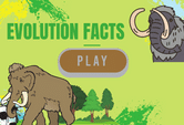 A quiz game on evolution of species