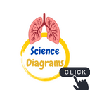 Interactive Science diagrams online