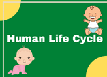 Life cycle of humans game