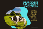 herbivores, carnivores, omnivores are different types of animals. Learn what each one eats.