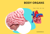 Game on Body Organs
