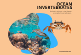 Ocean Invertebrates. They too do not have a backbone. Some tend to have a hard external shell.