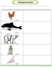 worksheet on endangered species