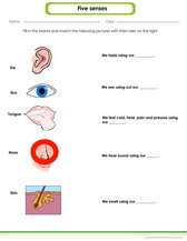learn about the 5 senses worksheet for kids.
