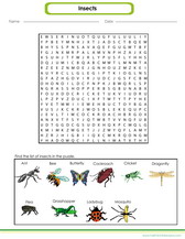 Learn about insects pdf worksheet for kids.