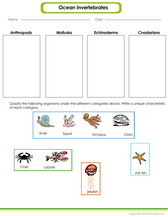 Identification of some ocean invertebrates worksheet pdf.
