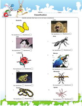 Classification of organisms, games, worksheets for kids