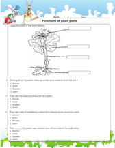 Grade 4 science worksheets